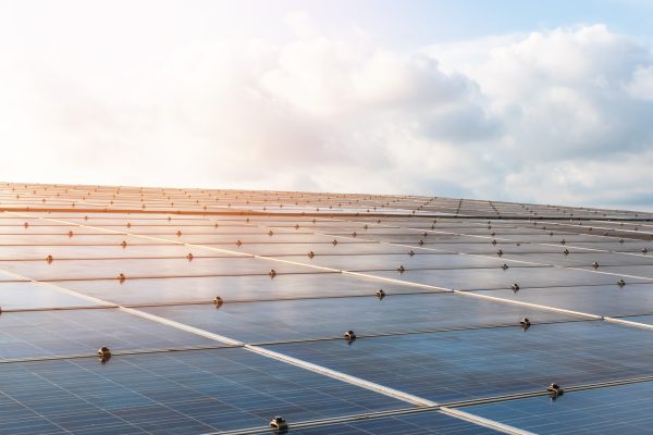 OMV Petrom übernimmt 50 % an einem 400-MW-Solarprojekt in Bulgarien